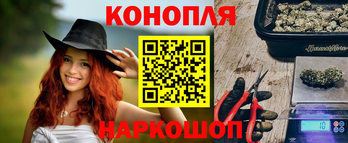 Шишки марихуана сатива  Вход с VPN  МАРИХУАНА OG Kush  Железноводск  Бошки Шишки планчик  Каннабис конопля 